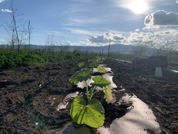 2020_pics01.JPG 2020_pics01.JPG