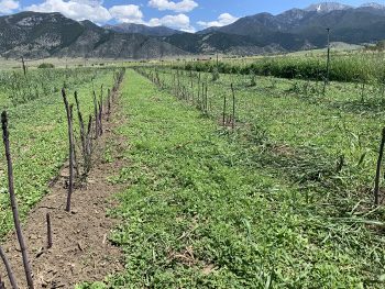 2020_pics16.jpg 2020_pics16.jpg