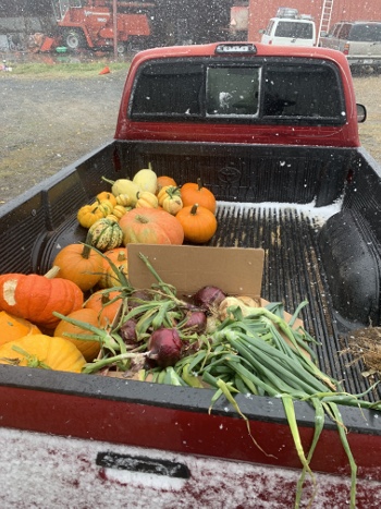 2020_pics18.jpeg 2020_pics18.jpeg